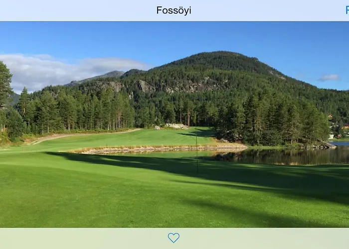 Golf Park 弗罗达尔
