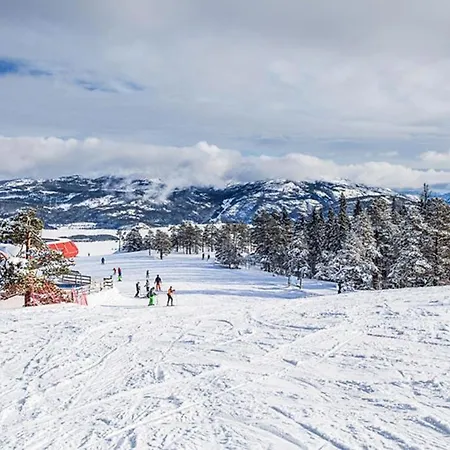 Golf Park Dom wakacyjny Vrådal
